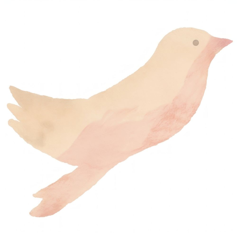 Bird shape ripped paper animal | Premium Photo - rawpixel