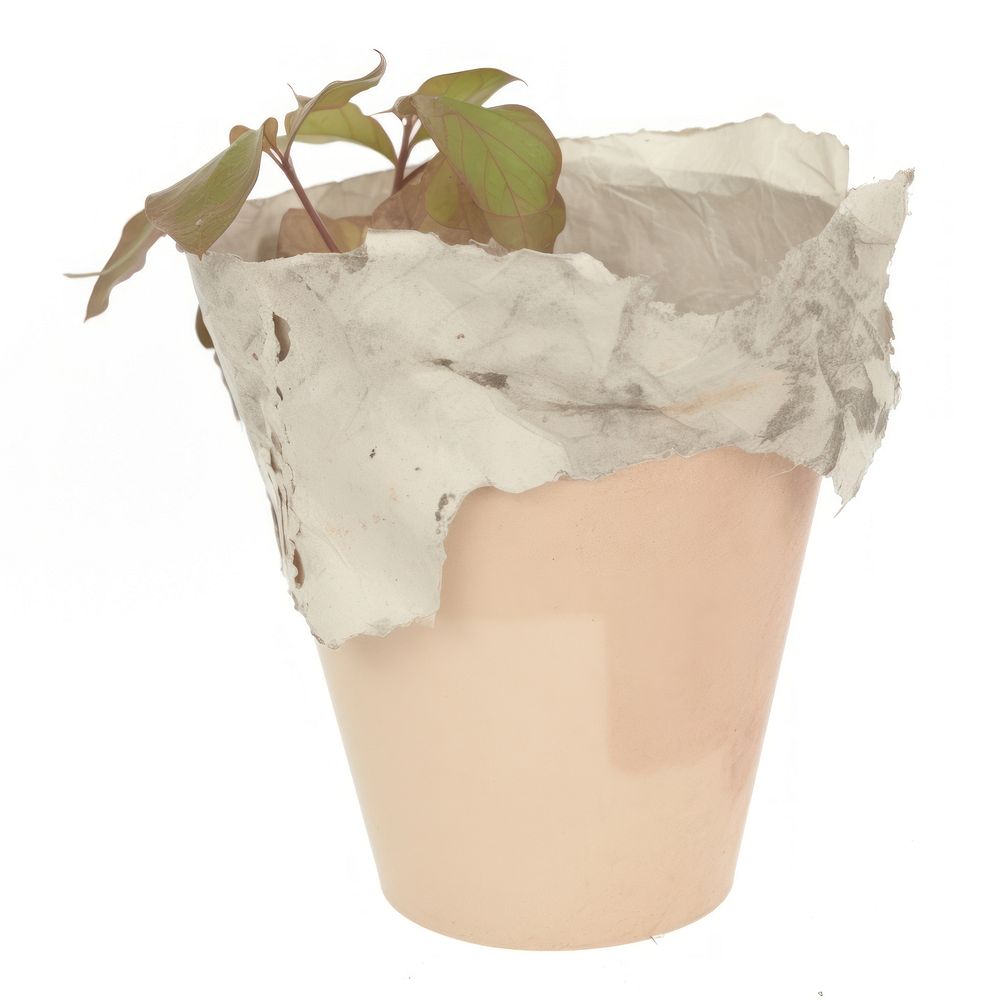 Plant pot ripped paper vase leaf white background.