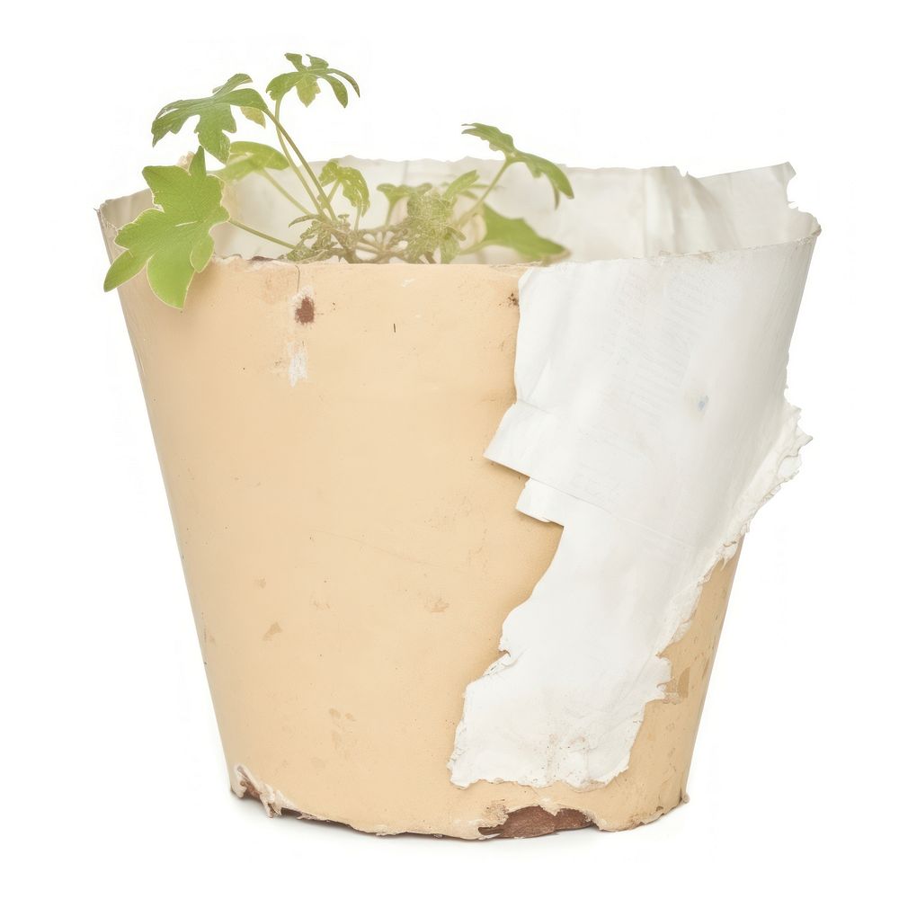Plant pot ripped paper herbs vase white background.
