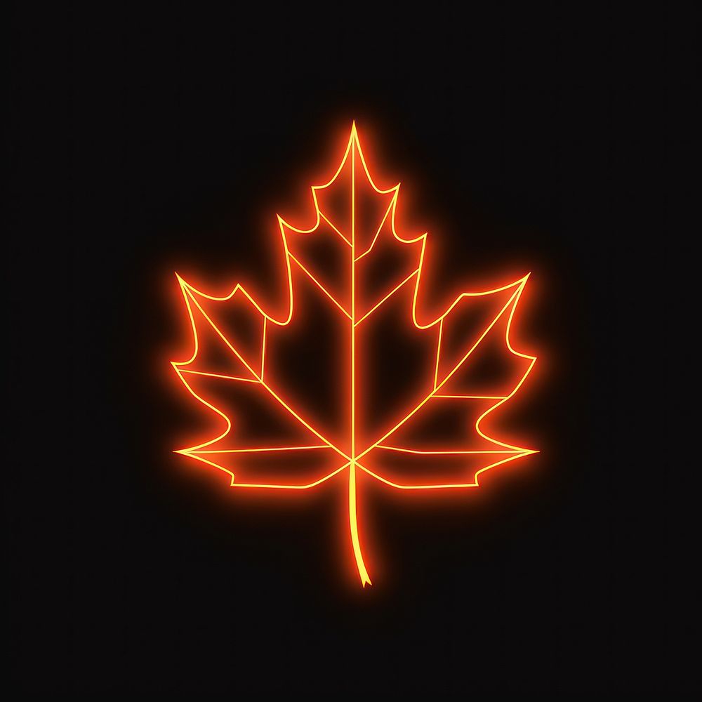 Maple leaf icon outdoors light night.
