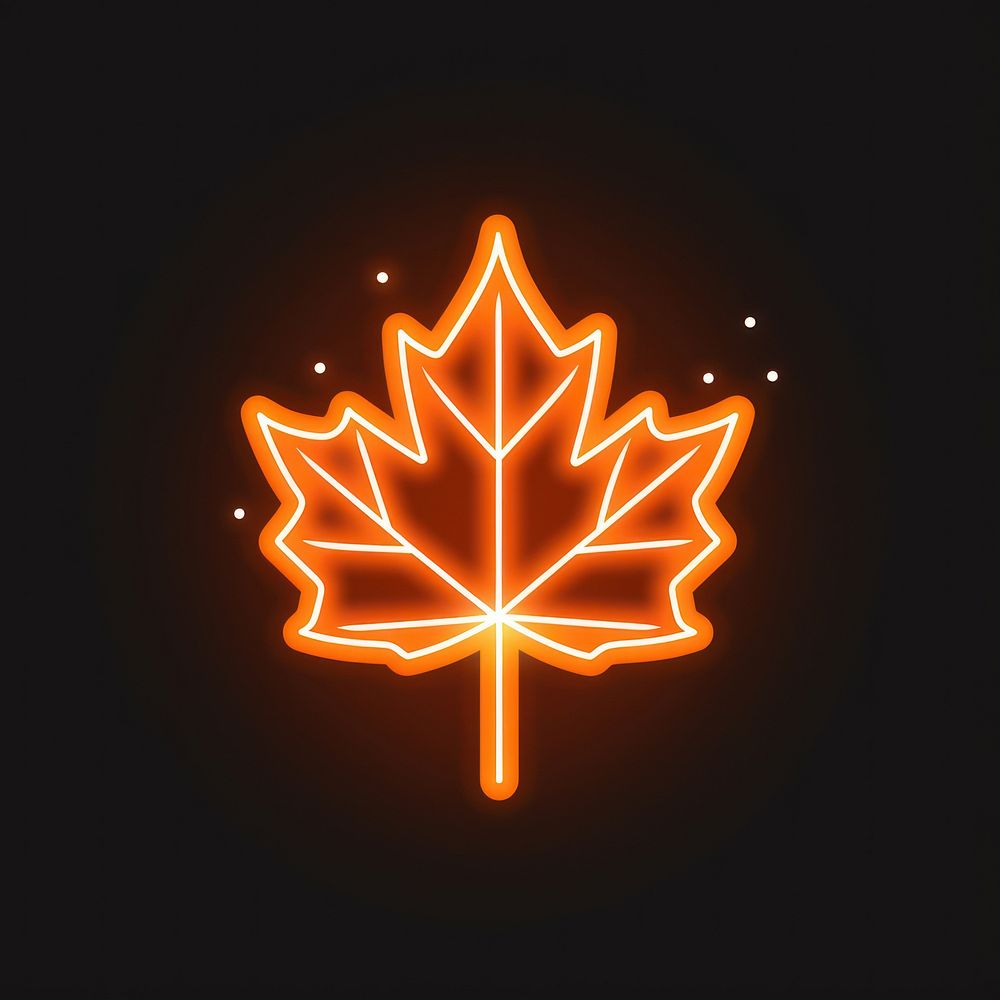 Maple leaf icon neon lighting outdoors.