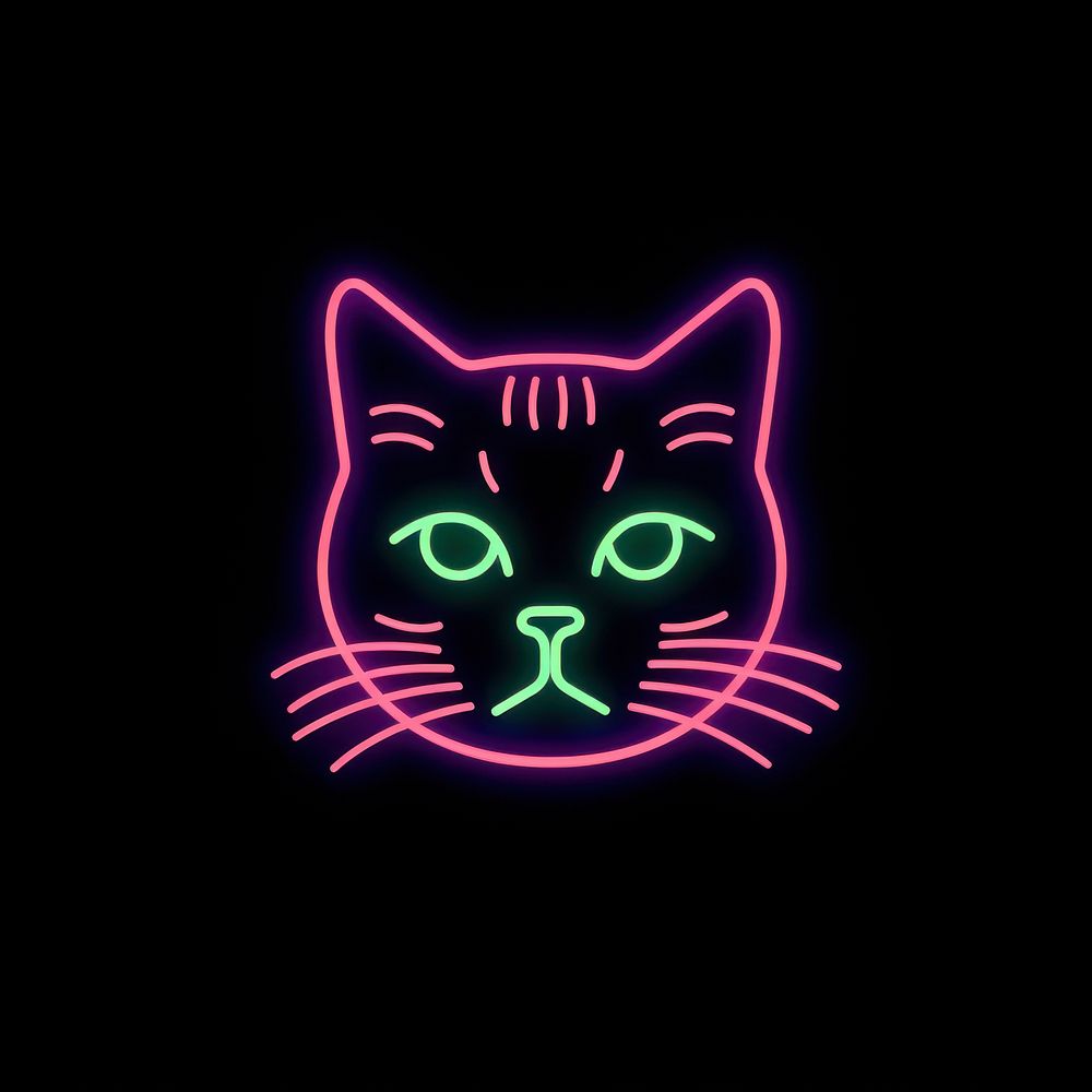 Cat icon neon light night.