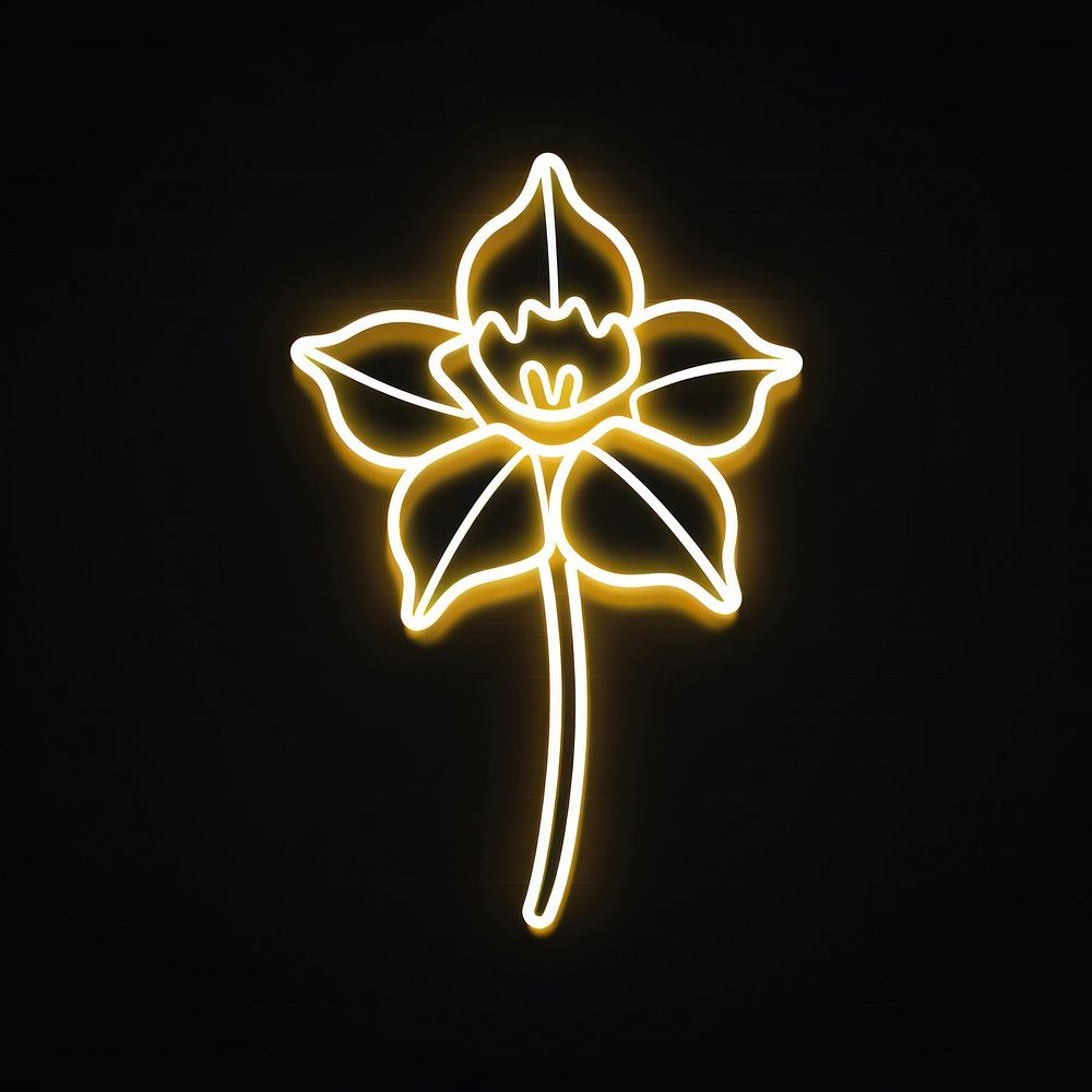 Daffodil icon neon symbol light.