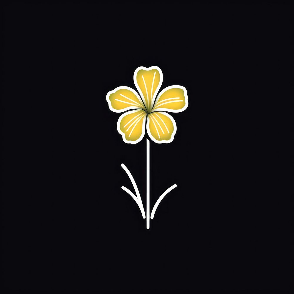 Daffodil icon flower petal plant.