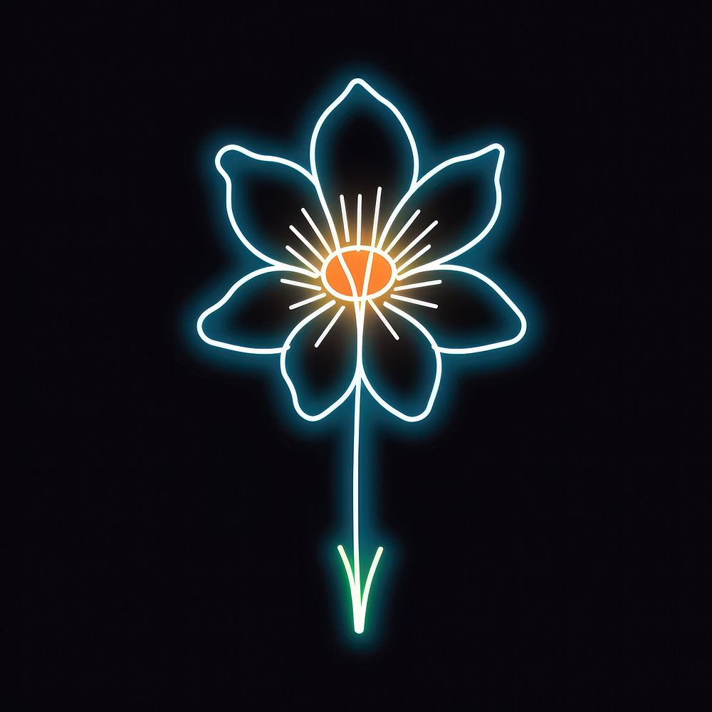 Daffodil icon neon light line.