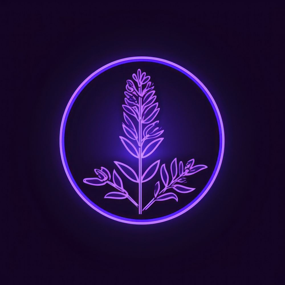 Lavender icon purple nature light.
