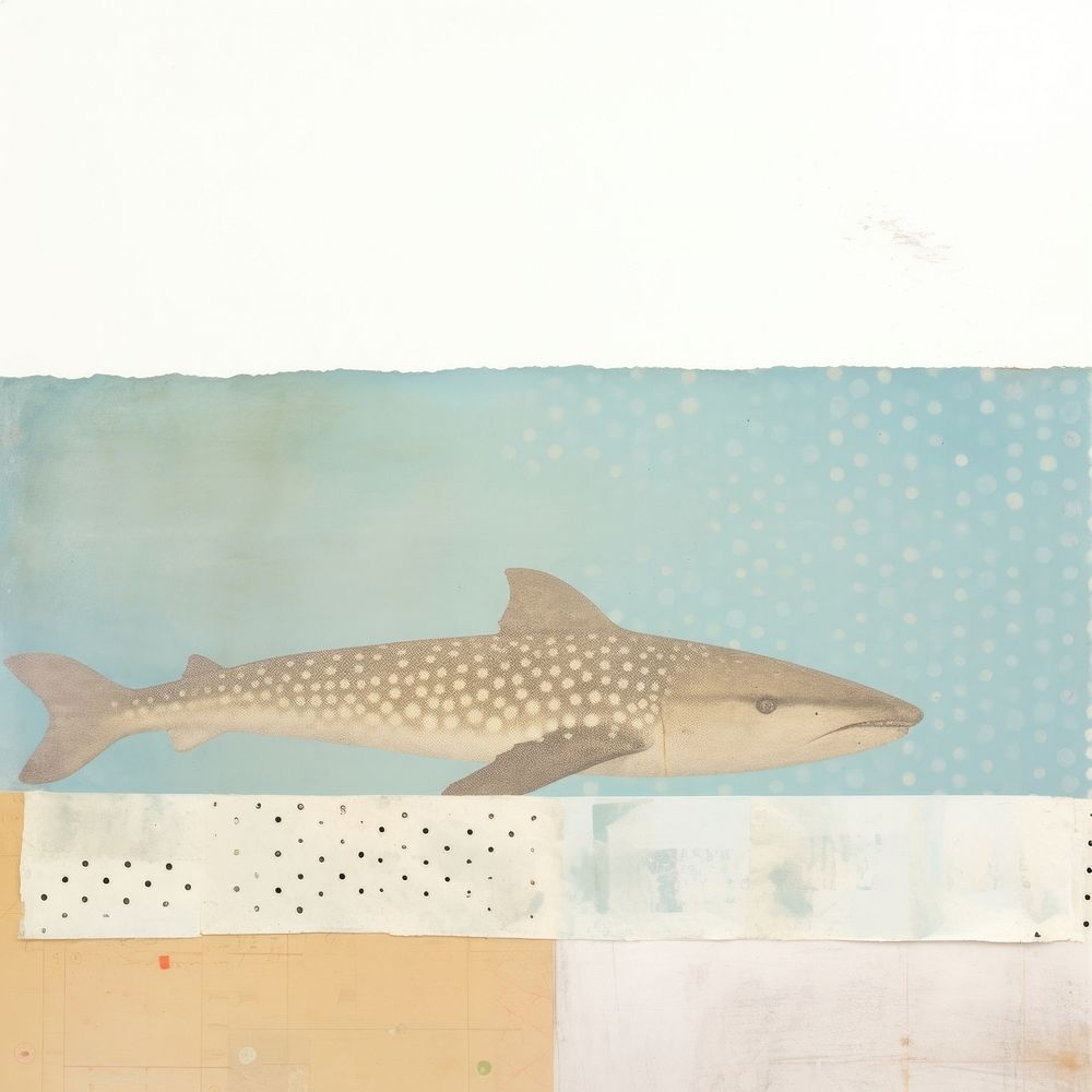 Whale shark ephemera painting animal fish.