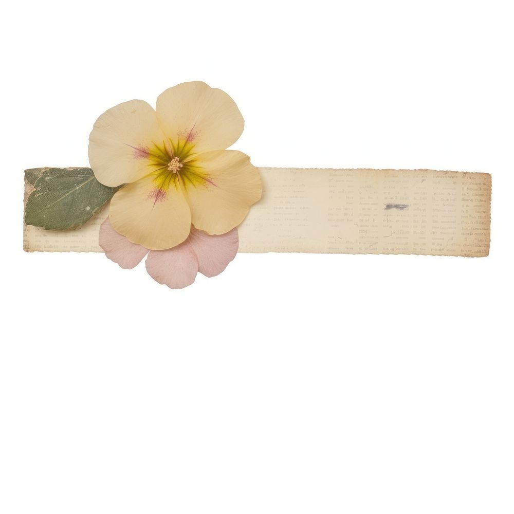 Primrose ephemera accessories accessory blossom.