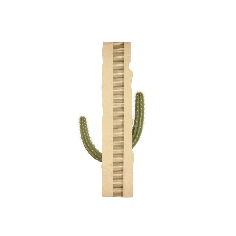 Cactus ephemera symbol plant cross.