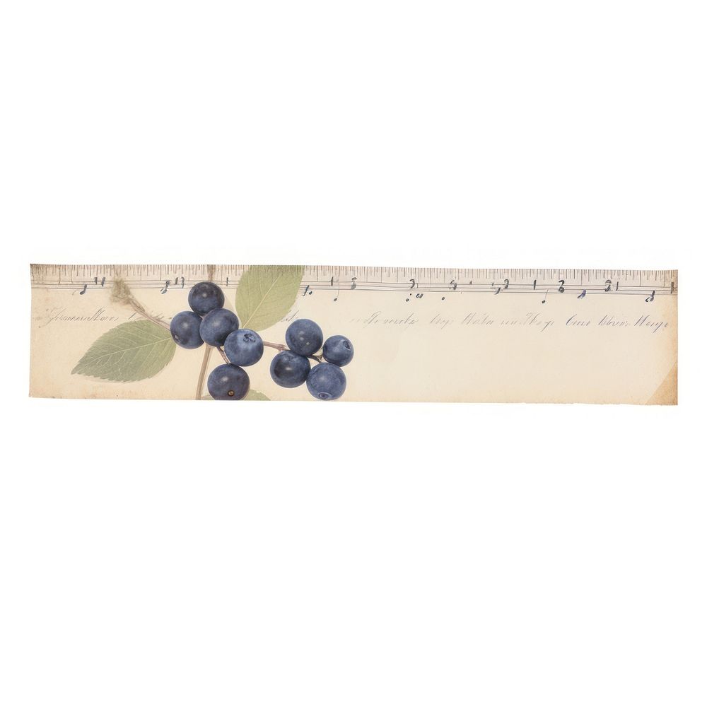 Blueberry ephemera produce fruit plant.