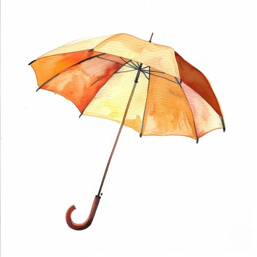 Umbrella canopy.