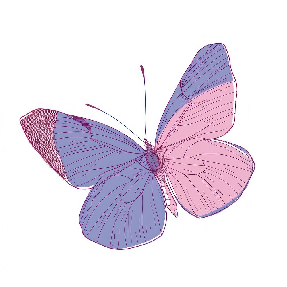 Retro butterfly illustrated appliance drawing.