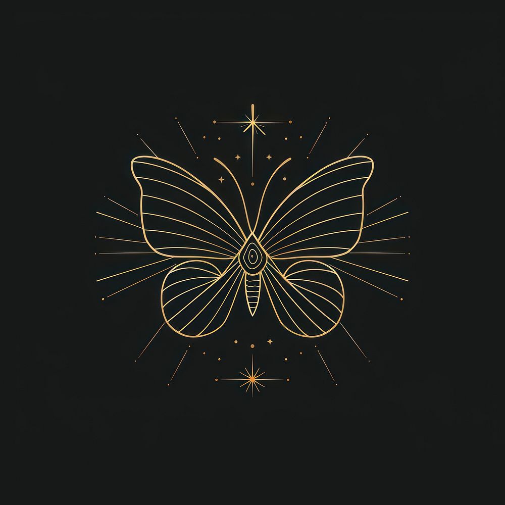 Surreal aesthetic Butterfly logo fireworks outdoors symbol.