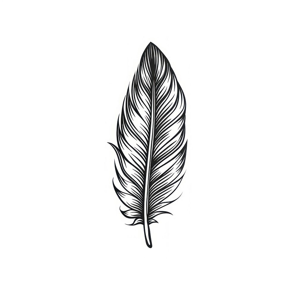 Surreal aesthetic feather logo art illustrated drawing.