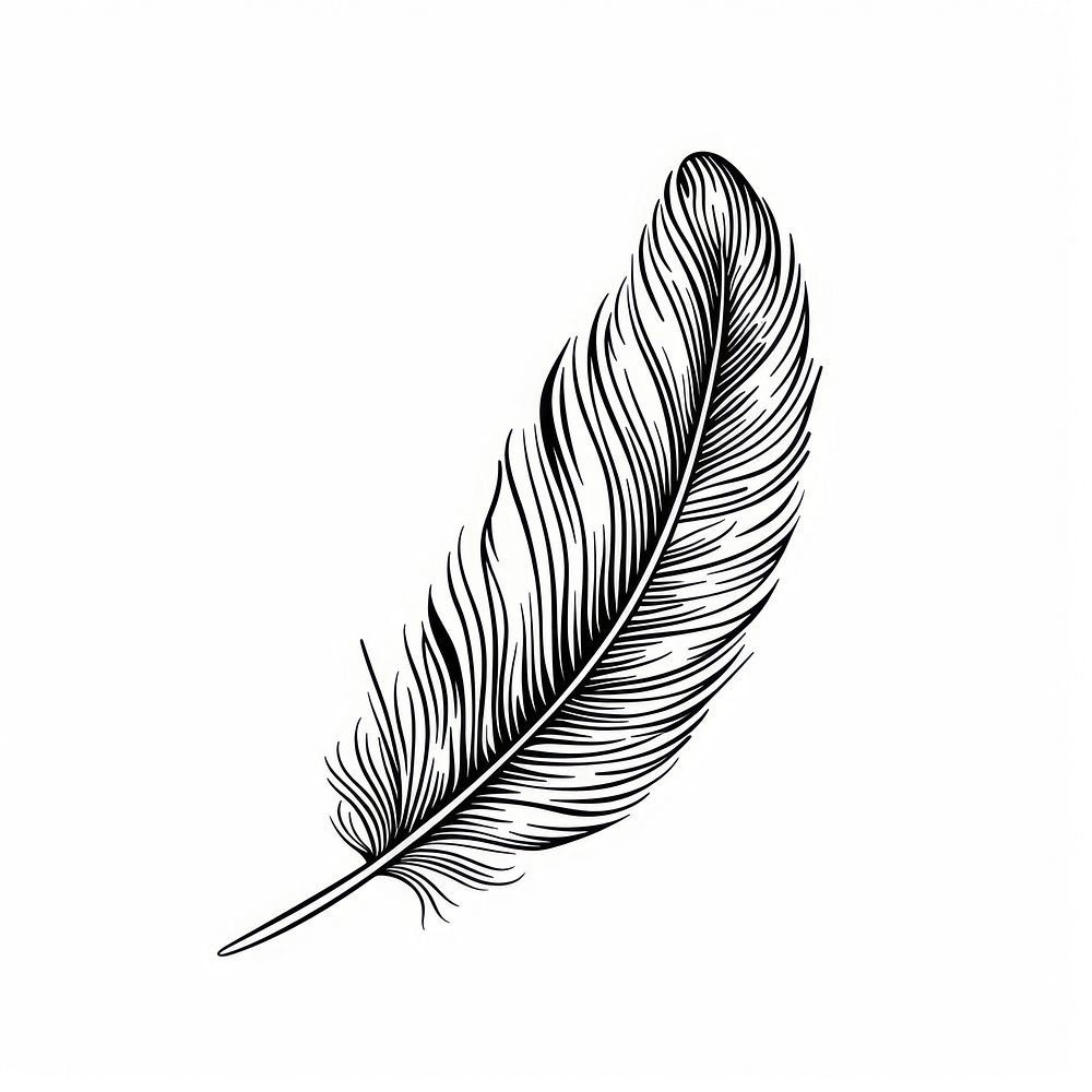 Surreal aesthetic feather logo art illustrated wildlife.