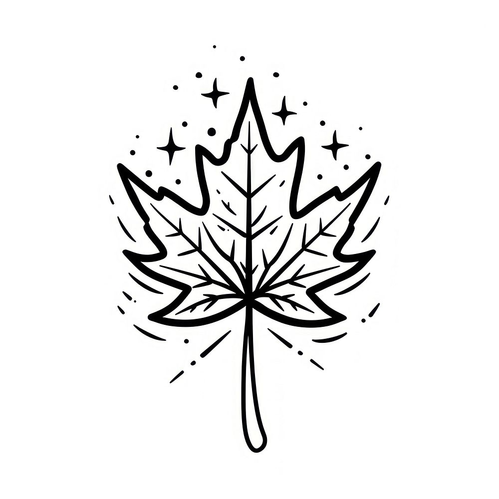 Maple leaf logo art stencil plant.