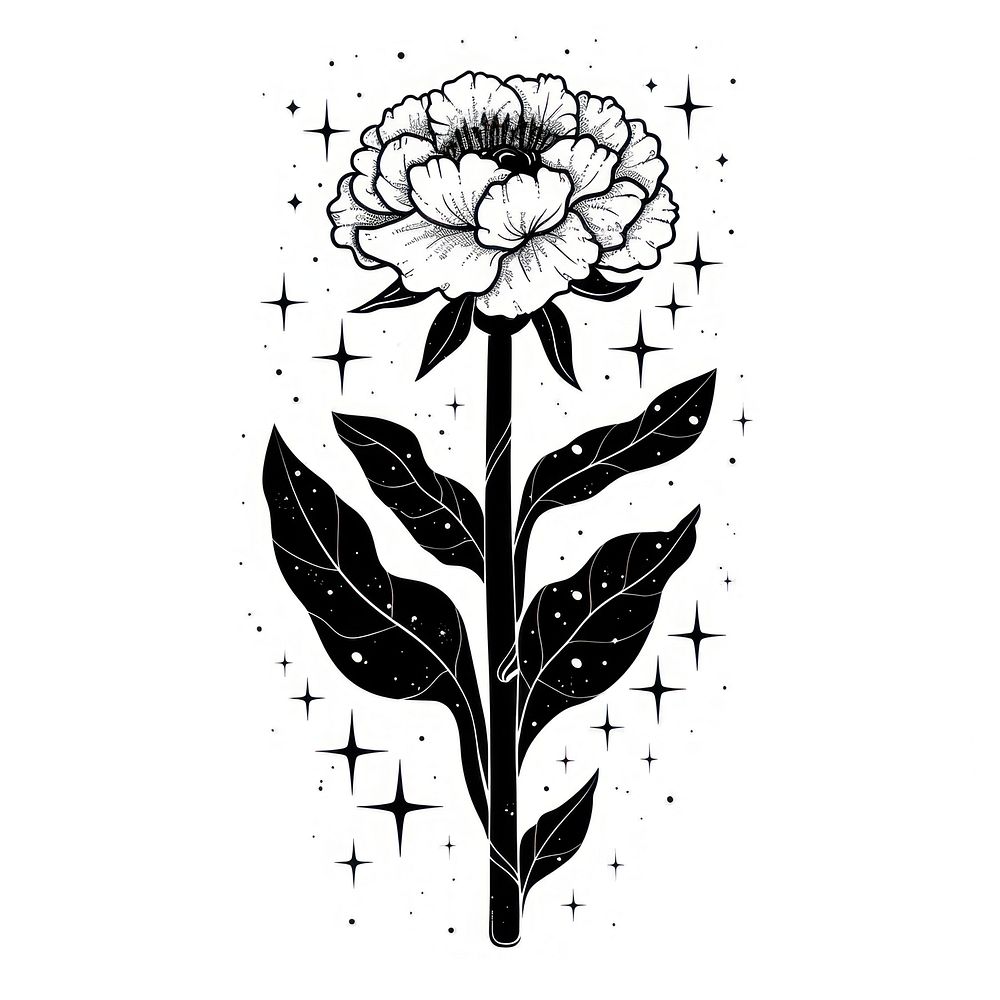 Surreal aesthetic carnation logo art illustrated asteraceae.
