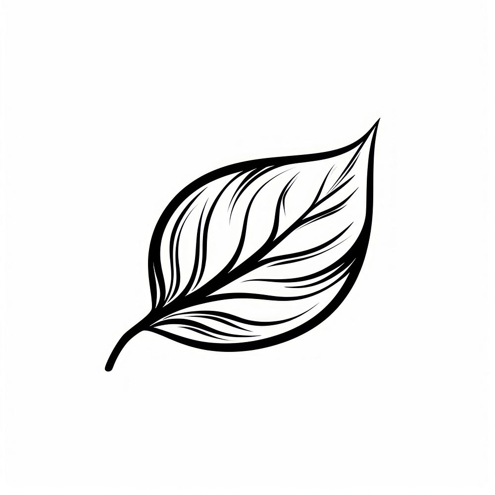 Surreal aesthetic leaf logo art illustrated drawing.