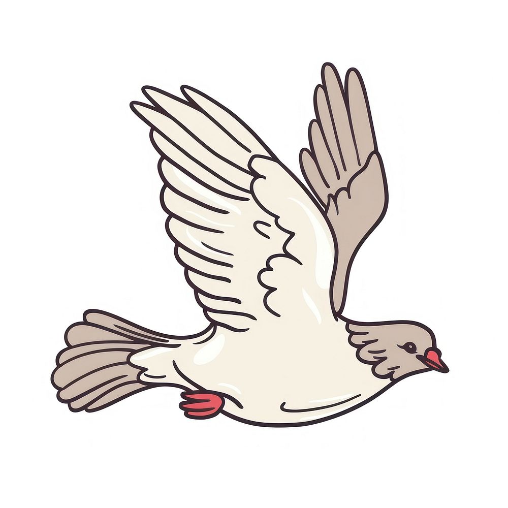 Dove flying partridge animal pigeon.