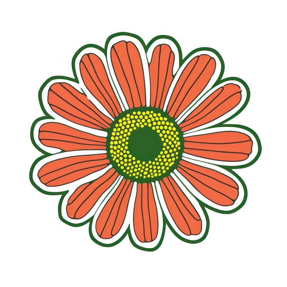 A vector graphic of daisy flower asteraceae blossom pattern.
