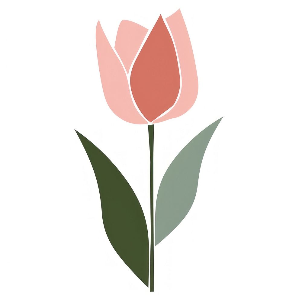 Funky cute vector tulip blossom flower plant.