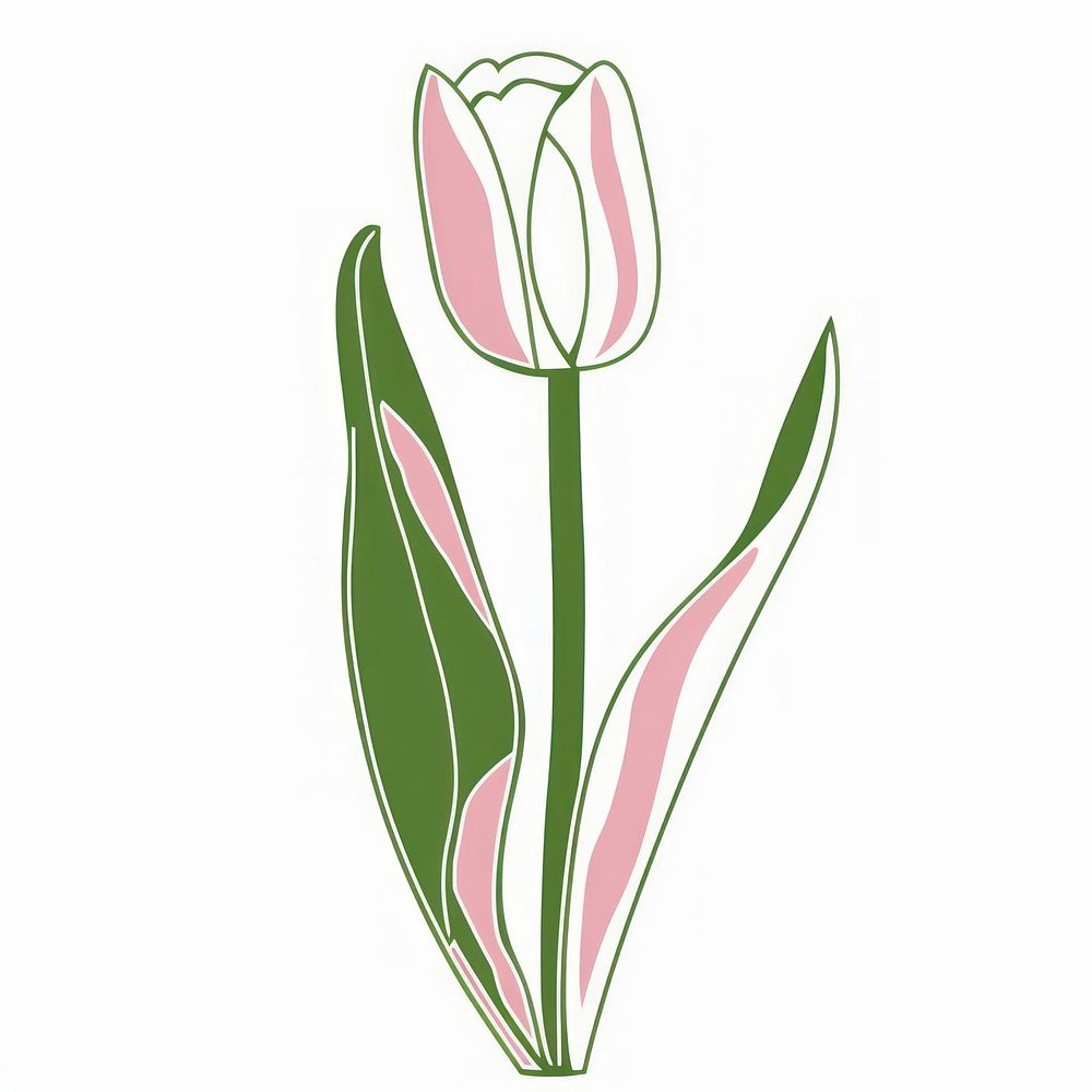 Funky cute vector tulip dynamite weaponry blossom.