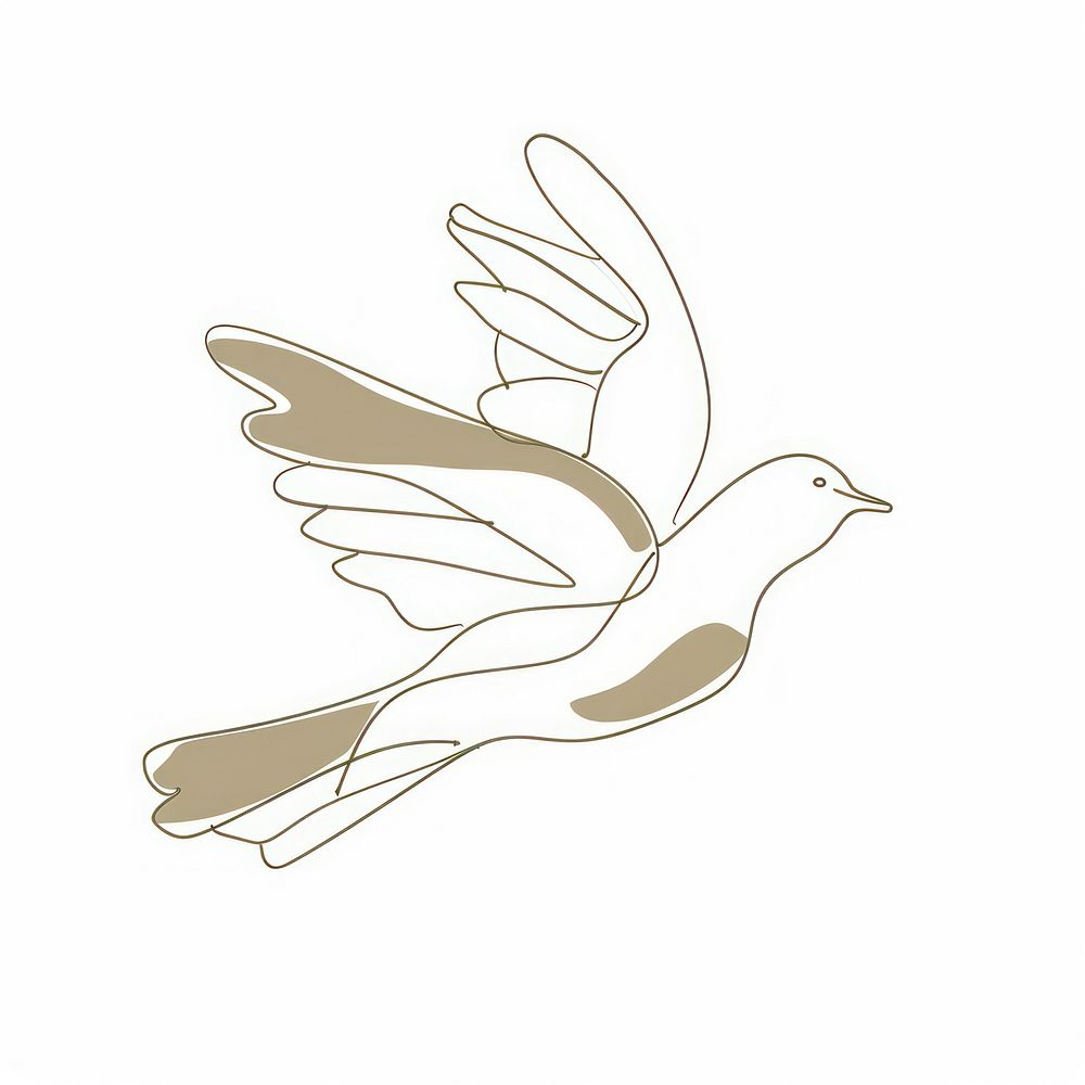 Minimalist symmetrical dove freedom illustrated drawing animal.