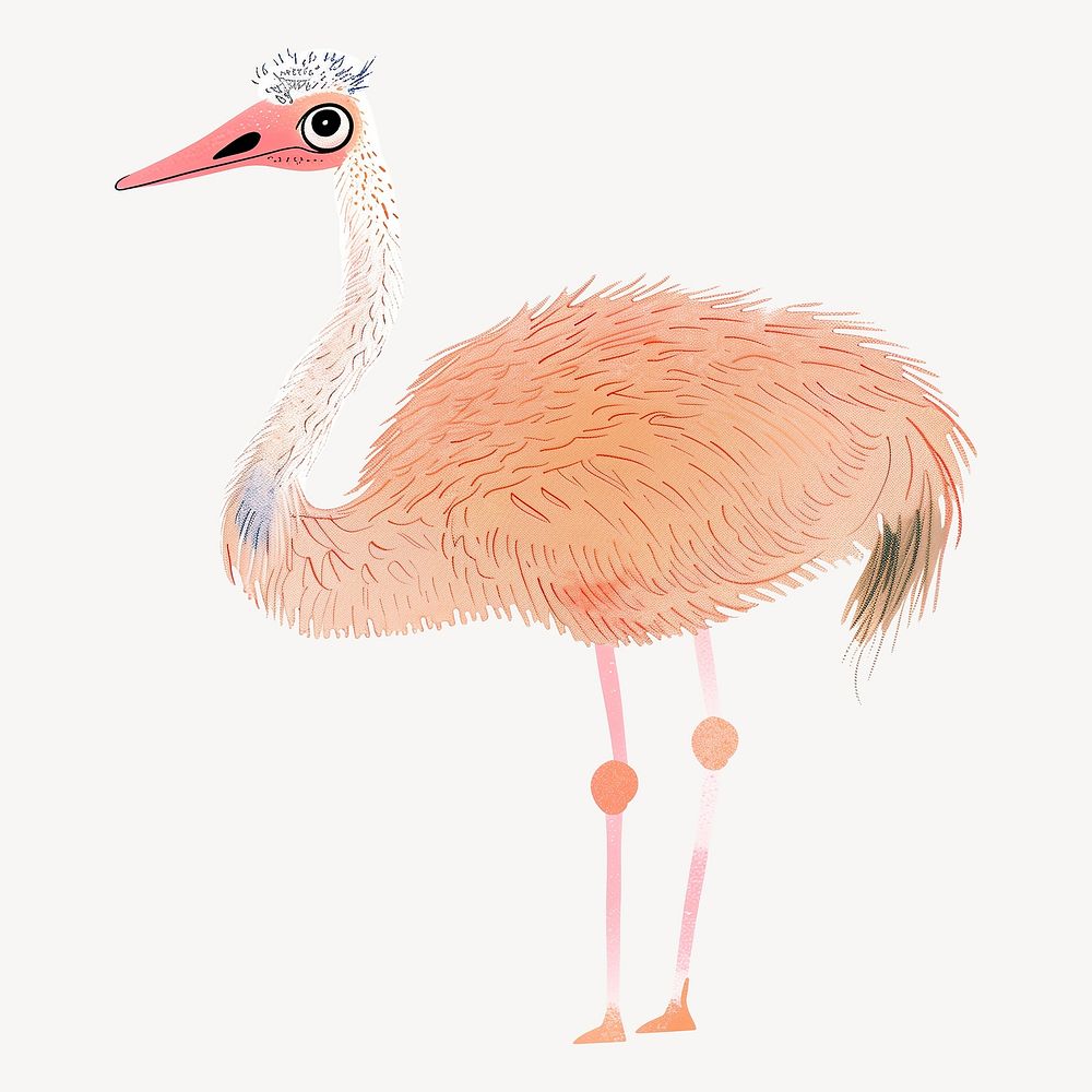 Cute ostrich, wild animal digital art illustration