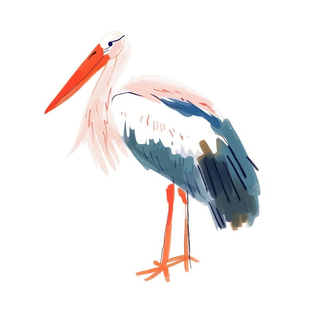 Cute stork illustration animal waterfowl pelican.