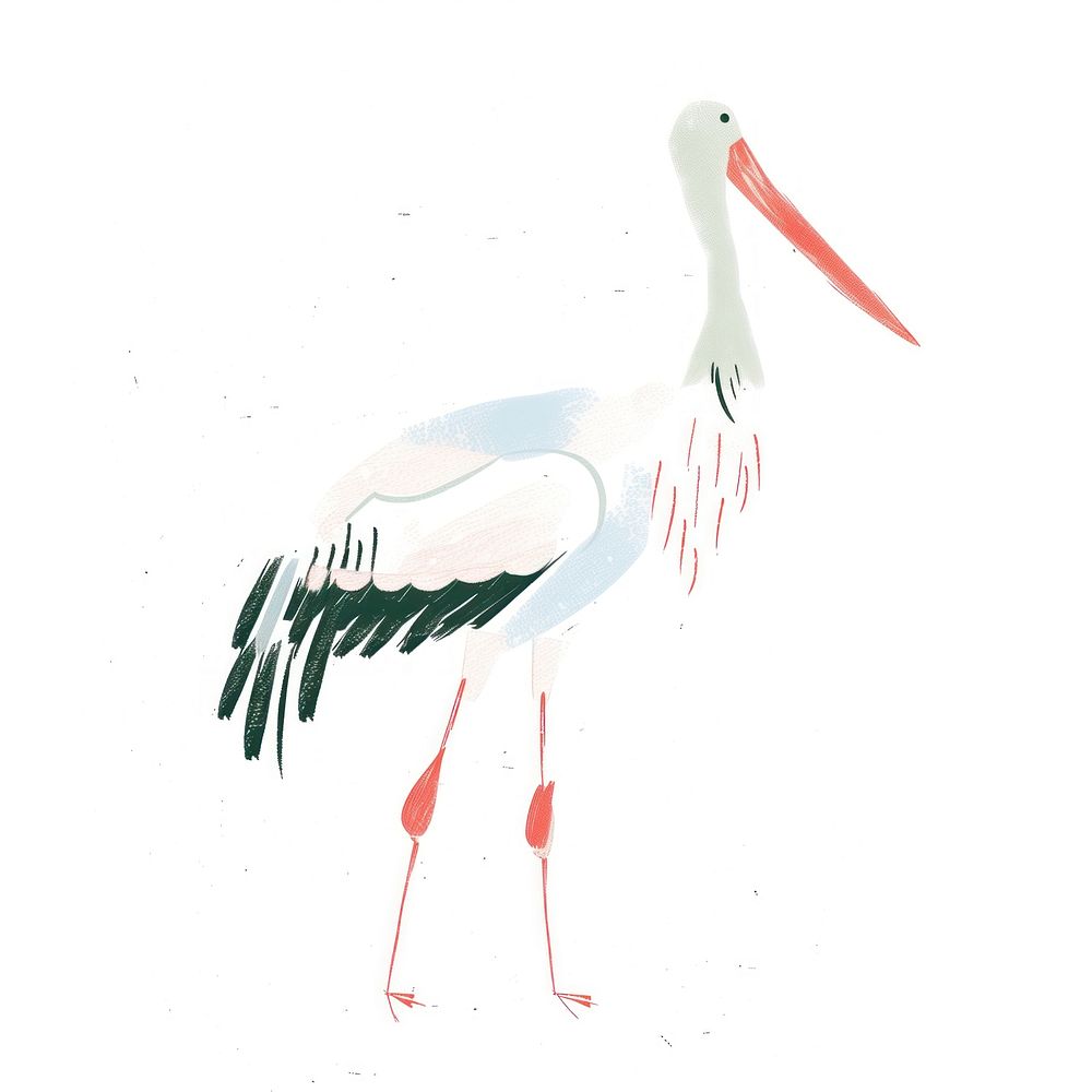 Cute stork illustration animal waterfowl bird.
