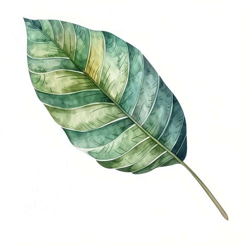 Cute tropical leaves art tobacco animal.