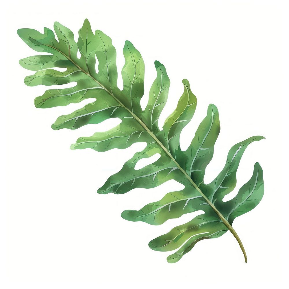 Cute tropical leaves plant leaf fern.