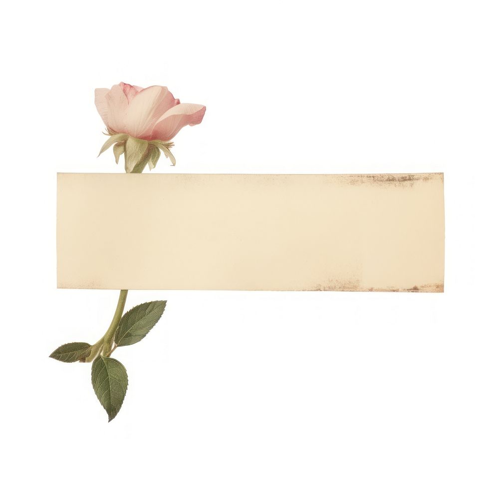Rose of sharon ephemera letterbox blossom mailbox.