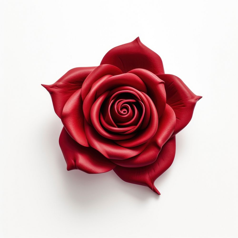 Red rose accessories accessory blossom.