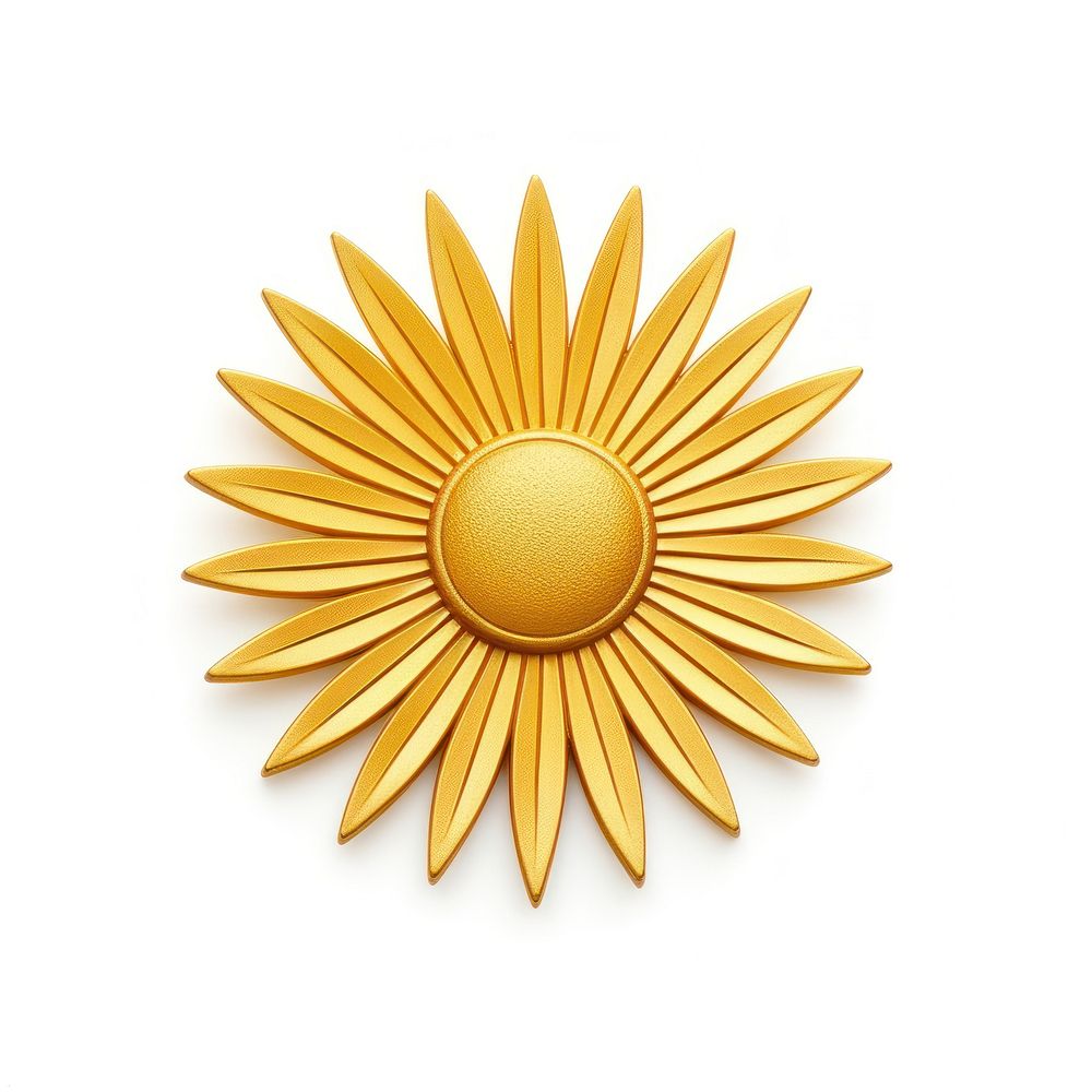 Brooch of sun accessories asteraceae accessory.