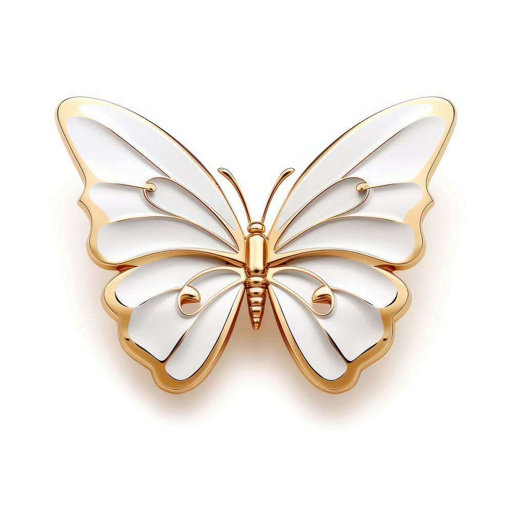 Brooch of butterfly accessories accessory jewelry.