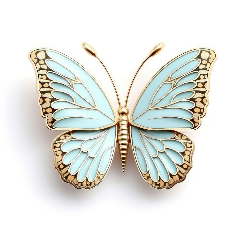Brooch of butterfly invertebrate accessories accessory.