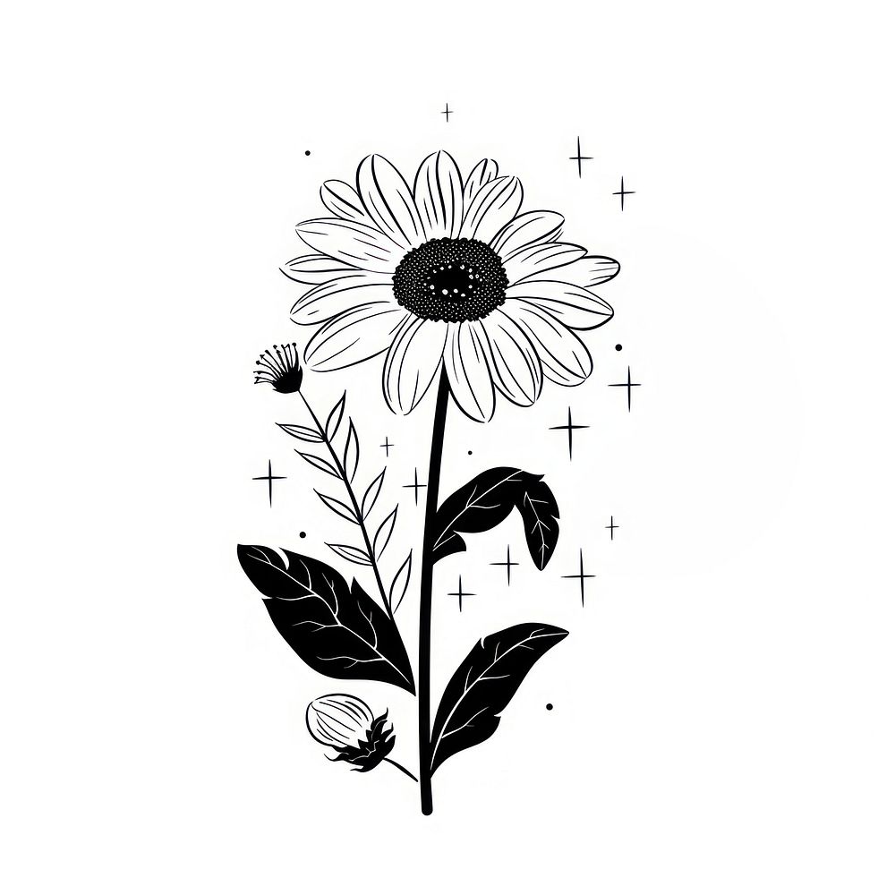 Surreal aesthetic Daisy logo daisy art illustrated.