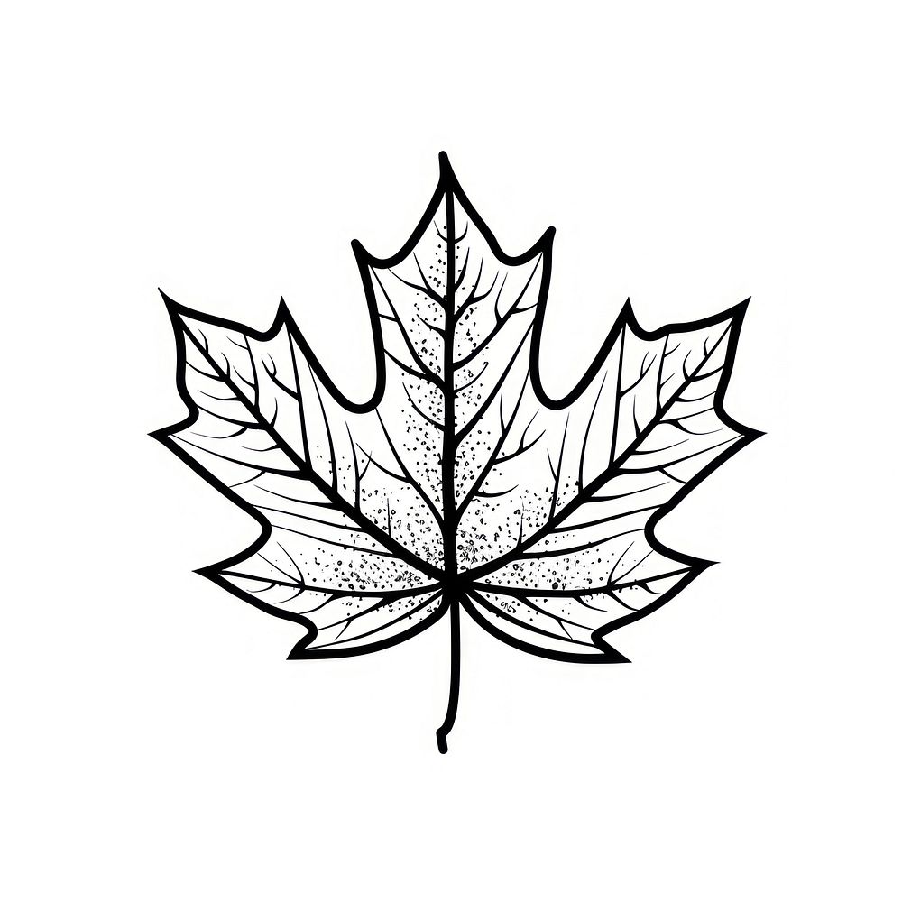 Surreal aesthetic maple leaf logo animal plant shark.