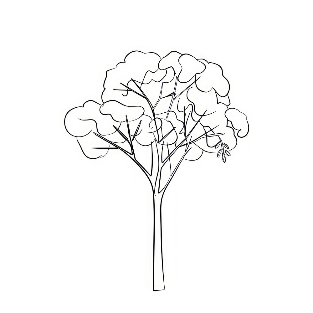 Minimalist symmetrical tropical tree illustrated drawing sketch.