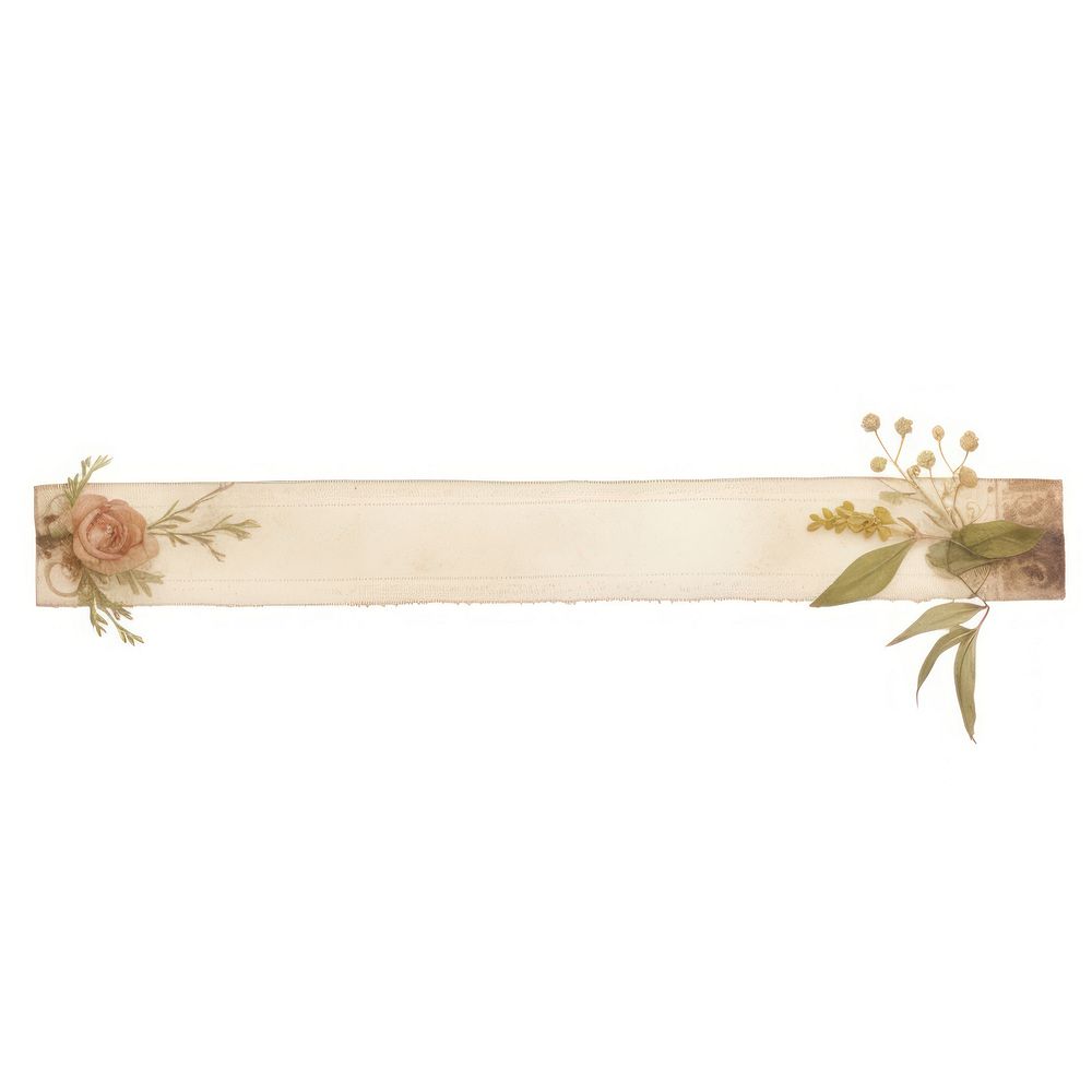 Botanial flower paper white background rectangle.