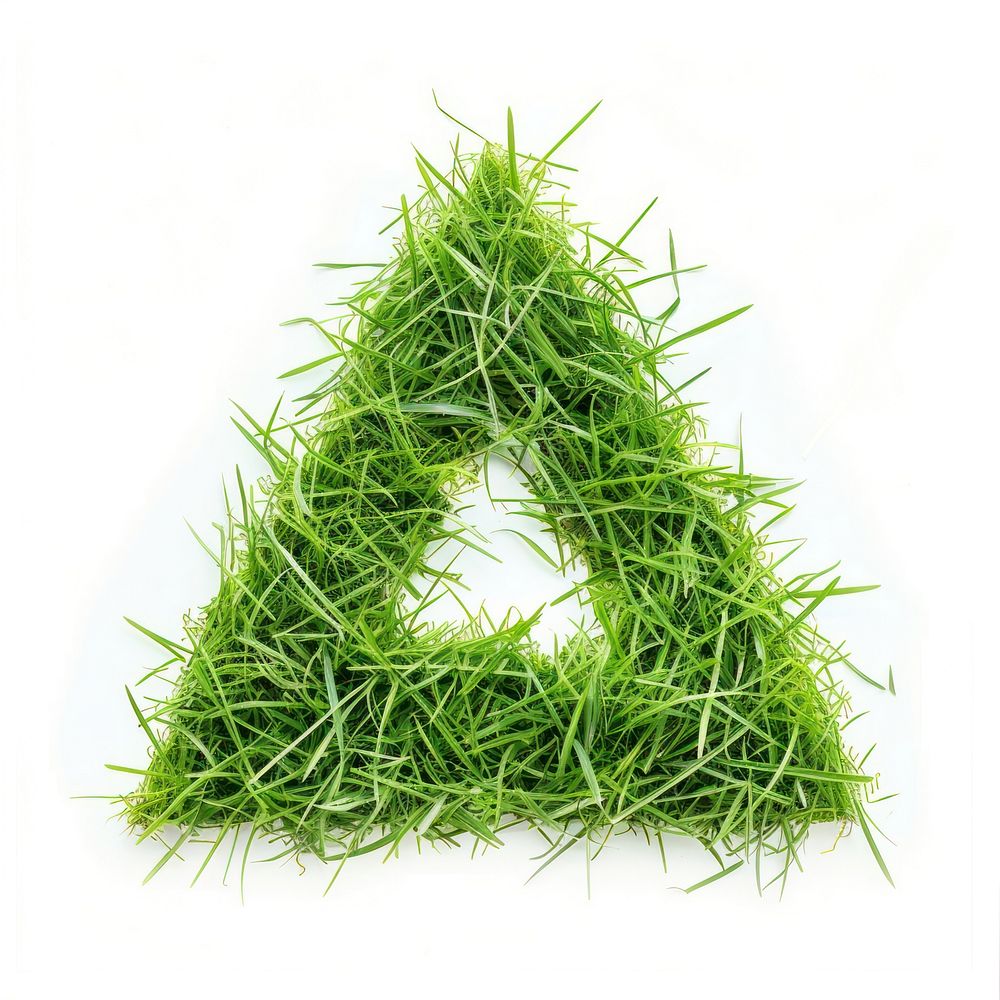 Triangle shape grass green plant moss.