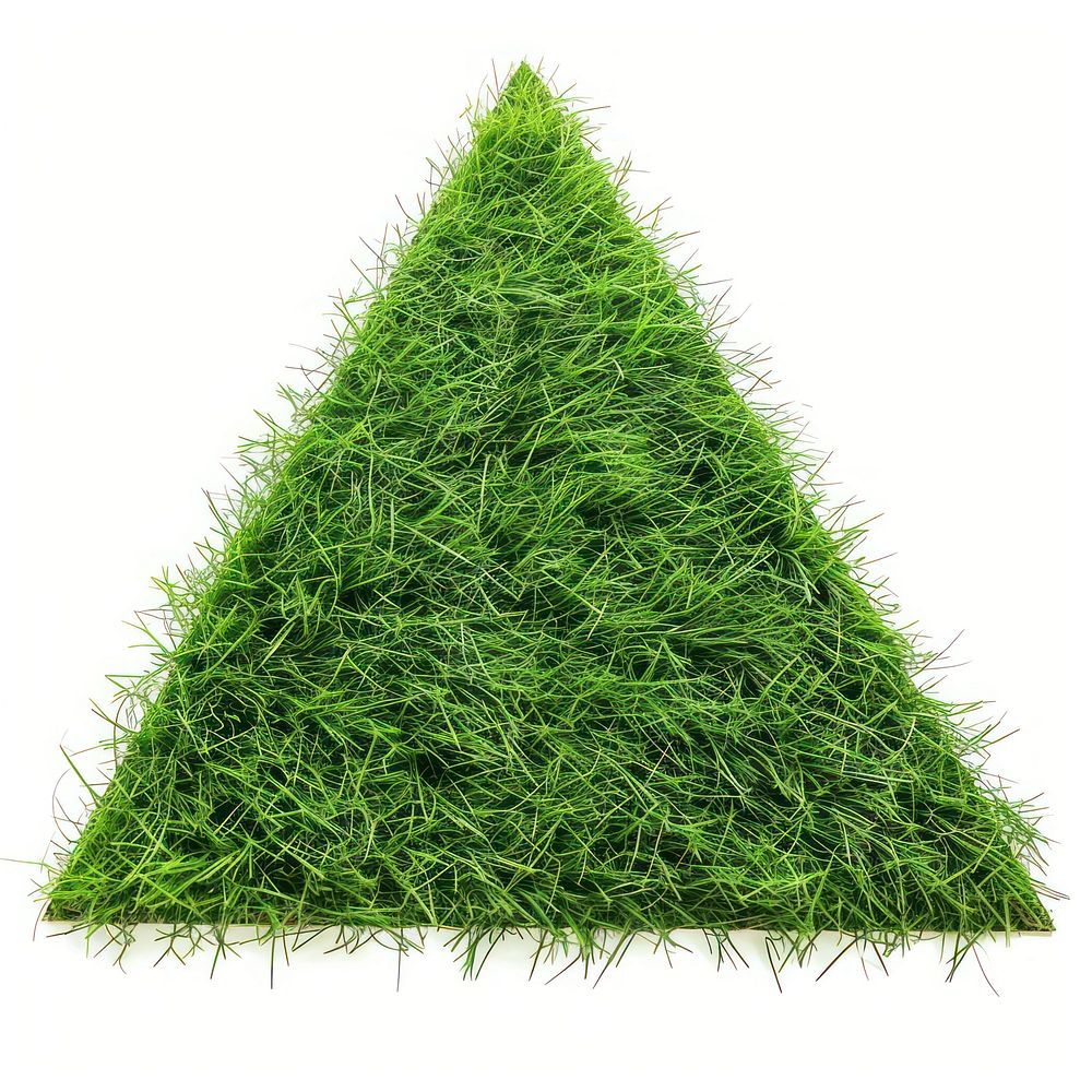 Triangle shape lawn grass plant.