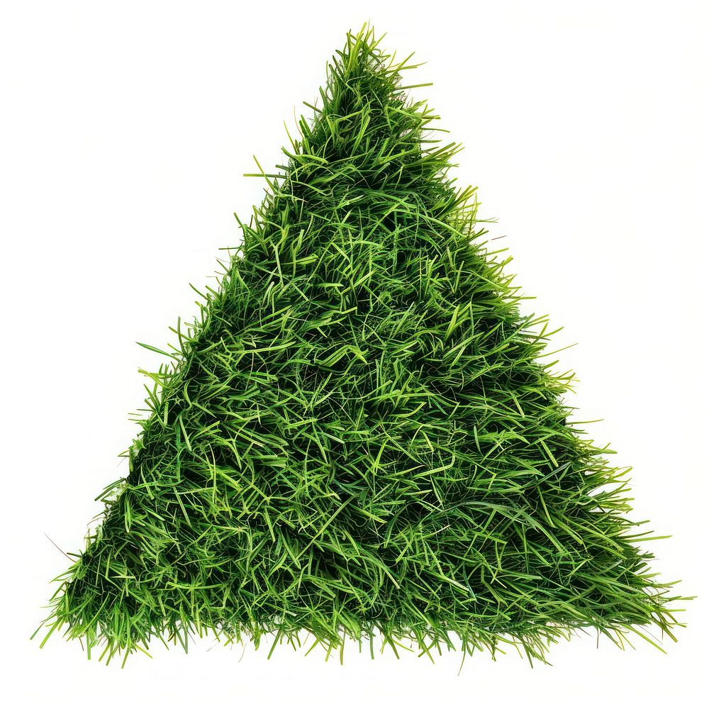 Triangle shape lawn grass seasoning conifer.