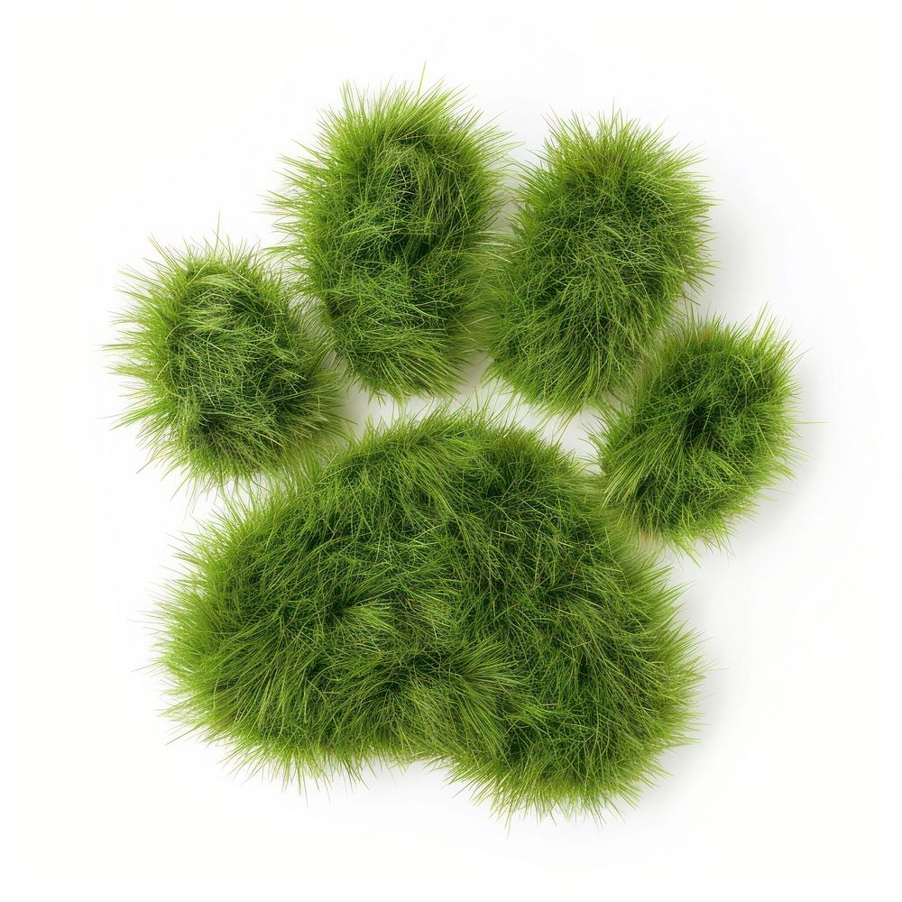 Paw shape grass accessories seasoning accessory.