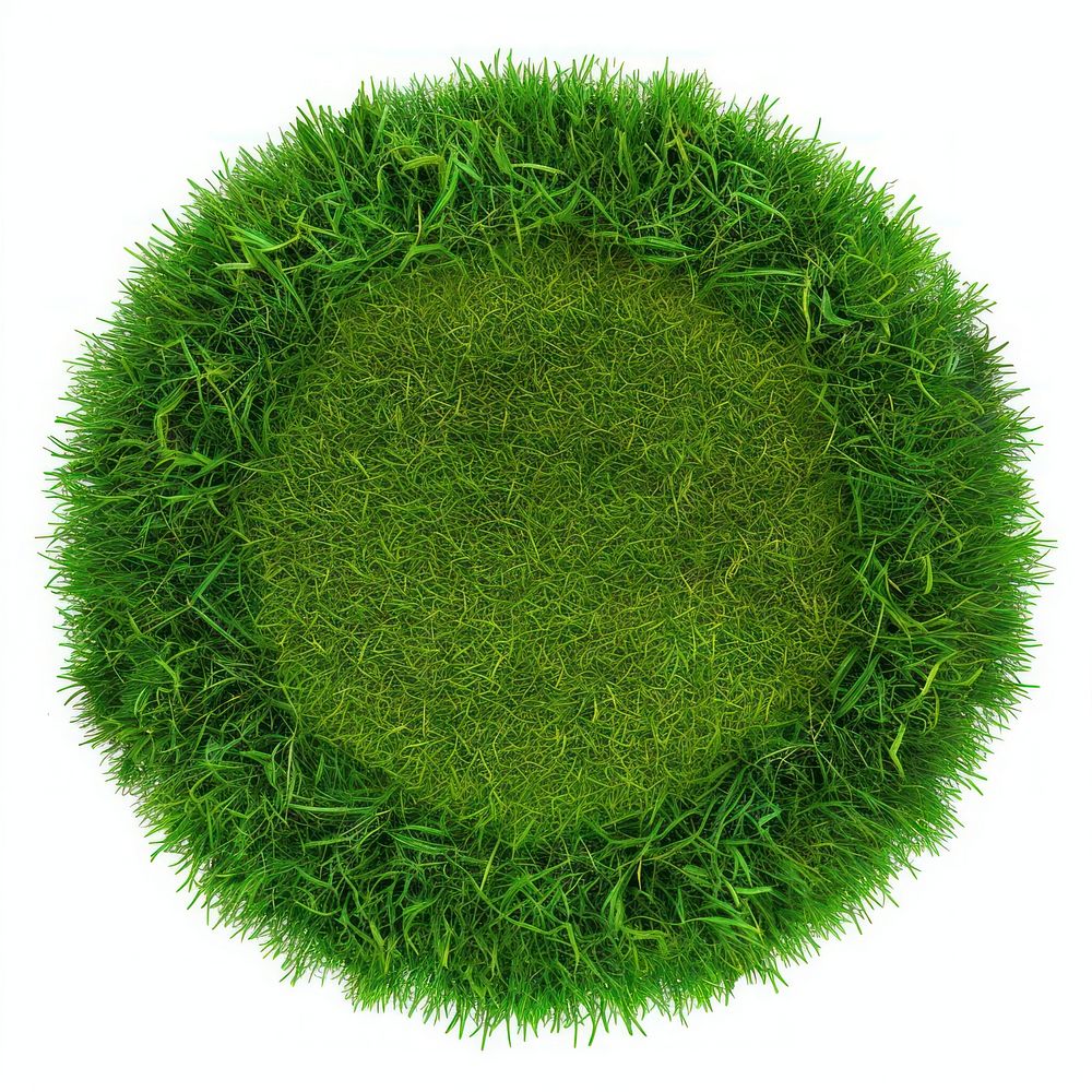 Ring shape lawn green grass plant.