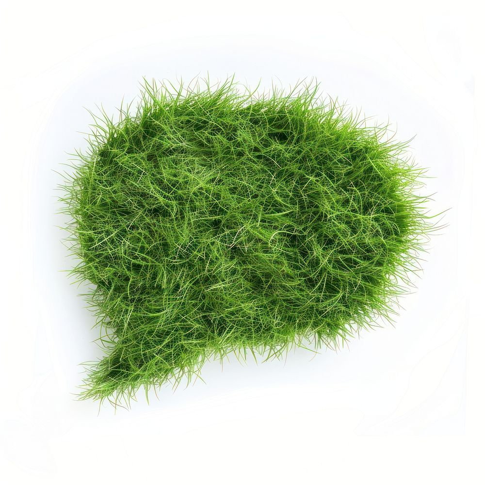 Speech bubble shape grass seasoning plant food.