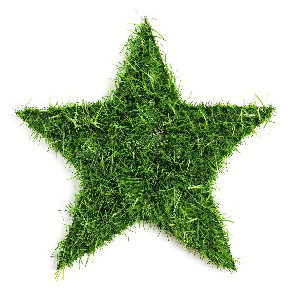 Star shape lawn symbol green plant.