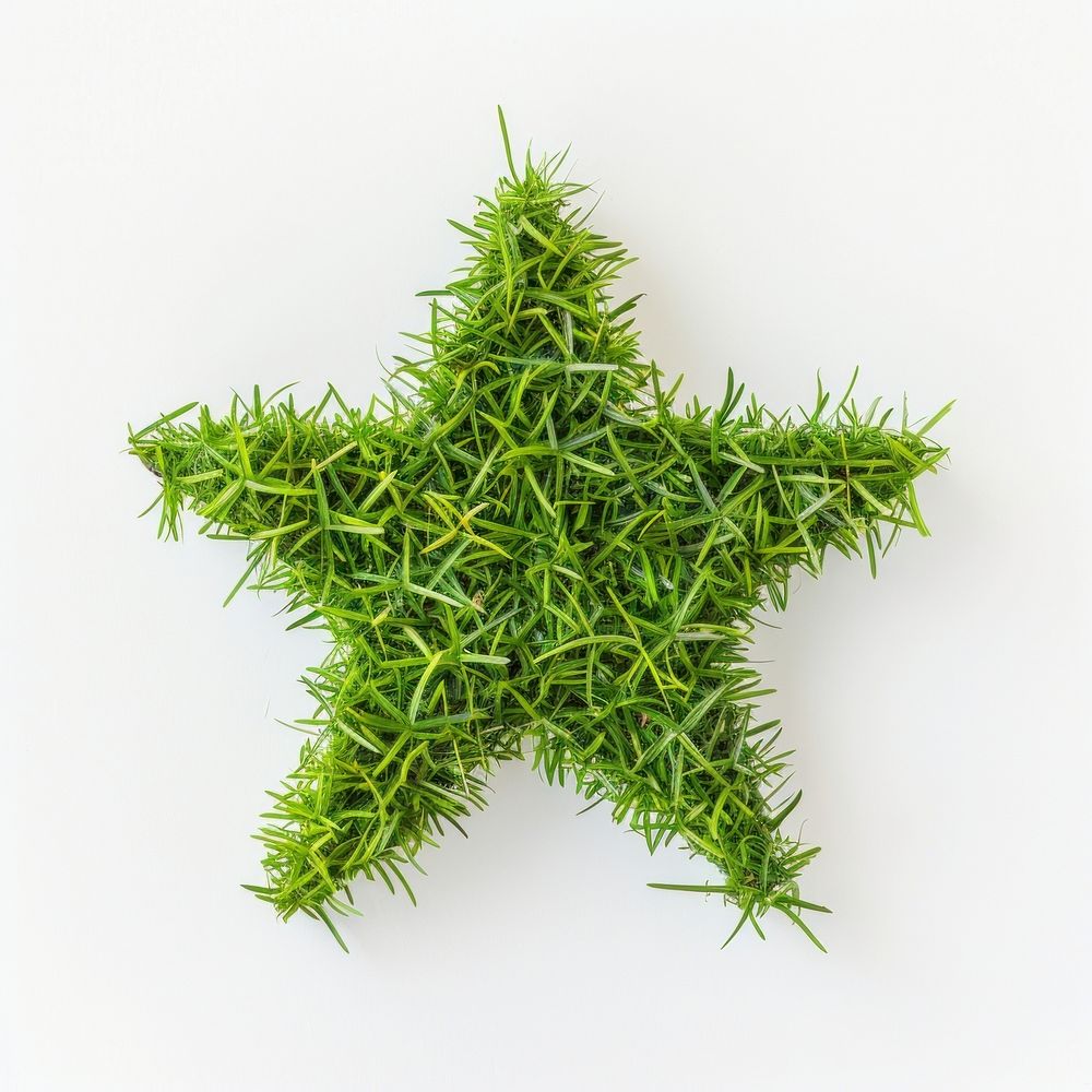 Star shape lawn green seasoning animal.