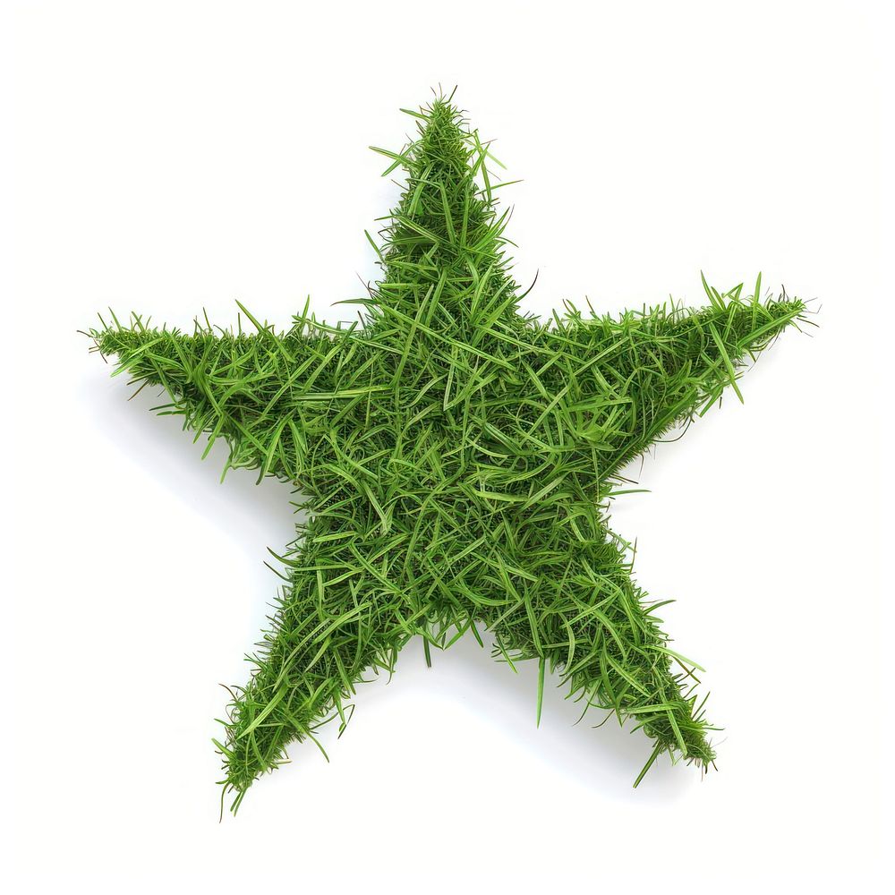 Star shape lawn symbol animal plant.